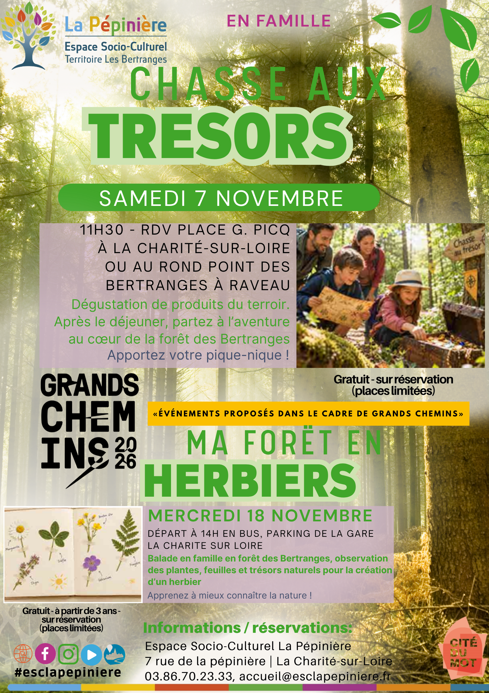 CHASSE AUX TRESORS